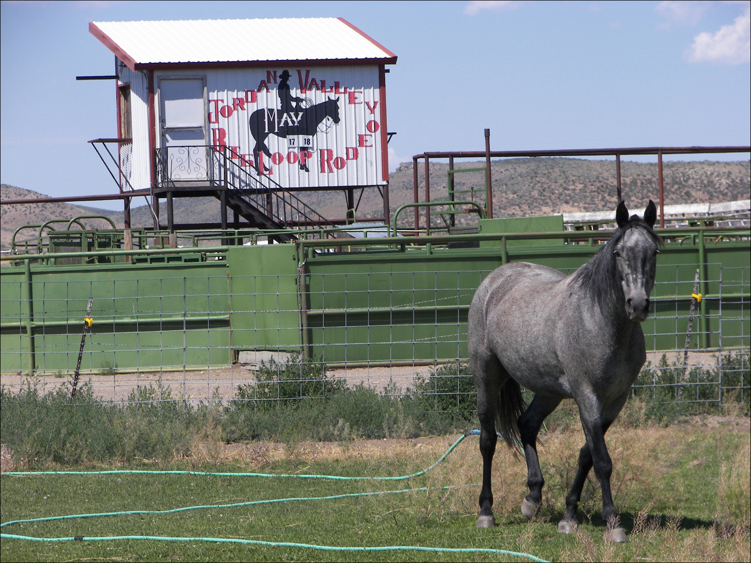 Lone horse near rodeo arena in Jordan Valley, Idaho